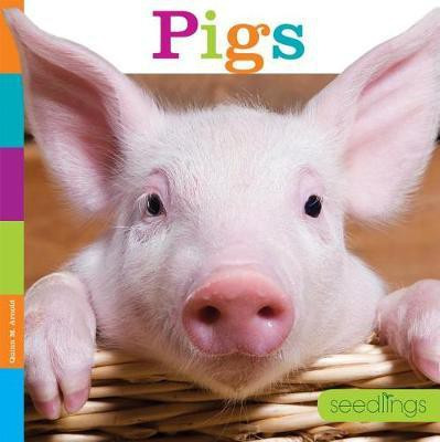 Seedlings: Pigs(English, Paperback, Arnold Quinn M)