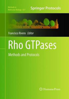 Rho GTPases(English, Paperback, unknown)
