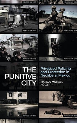 The Punitive City(English, Electronic book text, Muller Markus-Michael)