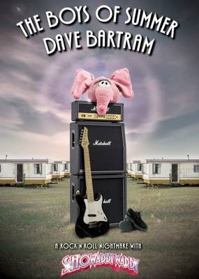 The Boys of Summer(English, Paperback, Bartram Dave)