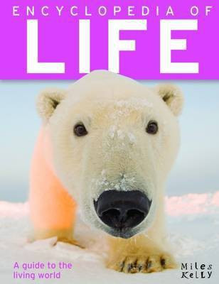 Encyclopedia of Life(English, Paperback, Miles Kelly)