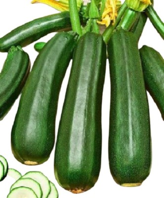 BIOBLOOMS Zucchini Green Long Seeds Seed(20 per packet)