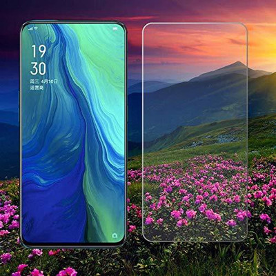 welldesign Tempered Glass Guard for OPPO RENO(Pack of 1)