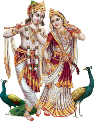 Flipkart SmartBuy 58 cm Transparent Art 115 Self Adhesive Sticker(Pack of 1)