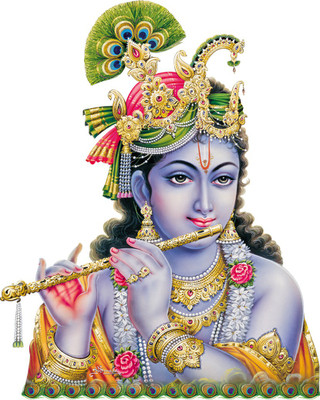 Flipkart SmartBuy 58 cm Transparent Art 57 Self Adhesive Sticker(Pack of 1)