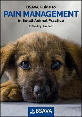 BSAVA Guide to Pain Management in Small Animal Practice(English, Paperback, unknown)