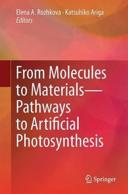 From Molecules to Materials(English, Electronic book text, unknown)