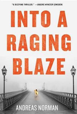 Into a Raging Blaze(English, Hardcover, Norman Andreas)