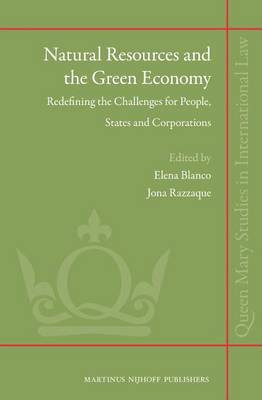 Natural Resources and the Green Economy(English, Electronic book text, unknown)