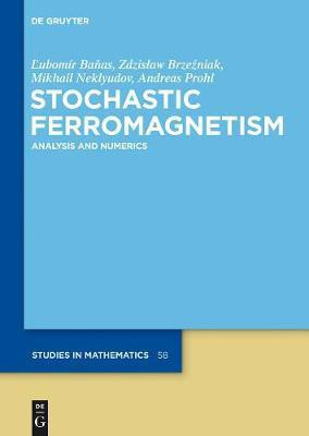 Stochastic Ferromagnetism(English, Electronic book text, Banas Lubomir)