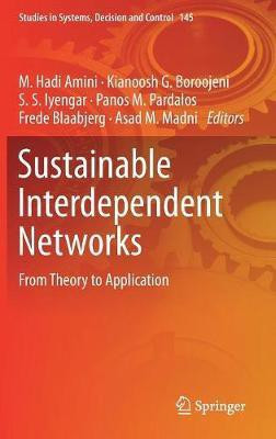 Sustainable Interdependent Networks(English, Hardcover, unknown)