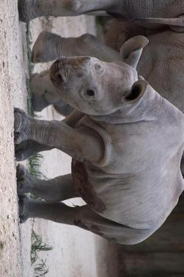 A Cute Little Baby Rhino Journal(English, Paperback, Paper Pen2)