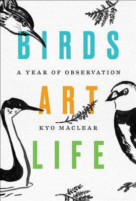Birds Art Life(English, Hardcover, Maclear Kyo)