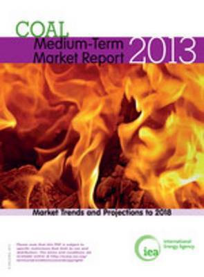 Medium-Term Coal Market Report 2013(English, Electronic book text, Ocde Oecd)