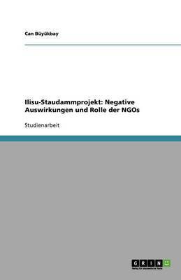 Ilisu-Staudammprojekt(German, Paperback, Buyukbay Can)