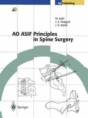 AO ASIF Principles in Spine Surgery(English, Paperback, unknown)