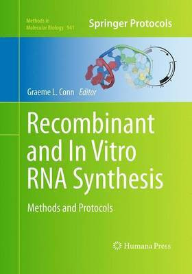 Recombinant and In Vitro RNA Synthesis(English, Paperback, unknown)
