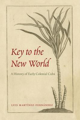 Key to the New World(English, Hardcover, Martinez-Fernandez Luis)