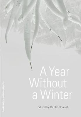 A Year Without a Winter(English, Paperback, Hannah Dehlia)