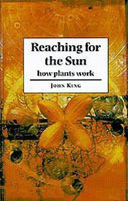 Reaching for the Sun(English, Paperback, King John)
