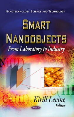 Smart Nano-Objects(English, Hardcover, unknown)