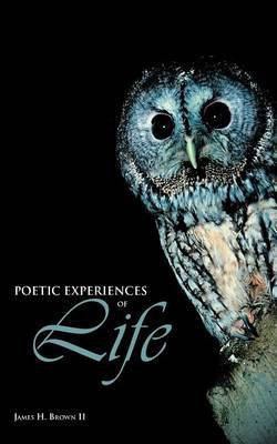 Poetic Experiences of Life(English, Paperback, Brown II James H.)