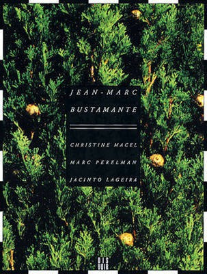 Jean-Marc Bustamante(English, Paperback, unknown)
