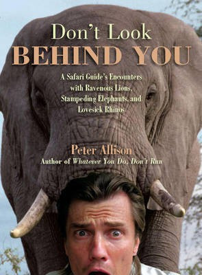 Don't Look Behind You!(English, Electronic book text, Allison Peter)