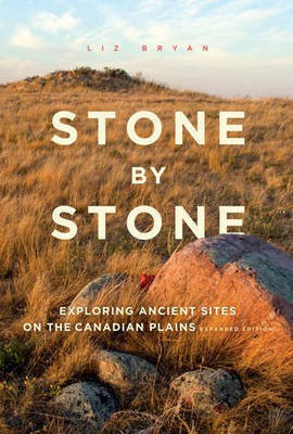 Stone by Stone(English, Paperback, Bryan Liz)