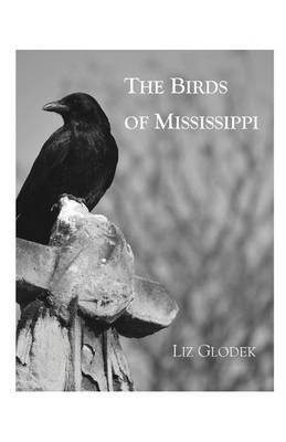 The Birds of Mississippi(English, Paperback, Glodek Liz)