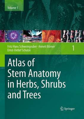Atlas of Stem Anatomy in Herbs, Shrubs and Trees(English, Paperback, Schweingruber Fritz Hans)