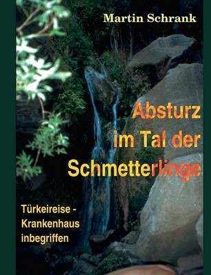 Absturz im Tal der Schmetterlinge(German, Paperback, Schrank Martin)