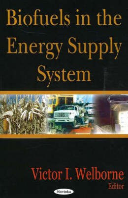Biofuels in the Energy Supply System(English, Paperback, unknown)