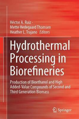 Hydrothermal Processing in Biorefineries(English, Hardcover, unknown)