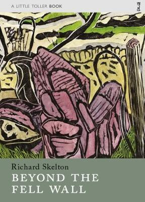 Beyond the Fell Wall(English, Paperback, Skelton Richard)
