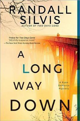 A Long Way Down(English, Paperback, Silvis Randall)