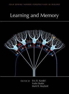 Learning and Memory(English, Paperback, unknown)