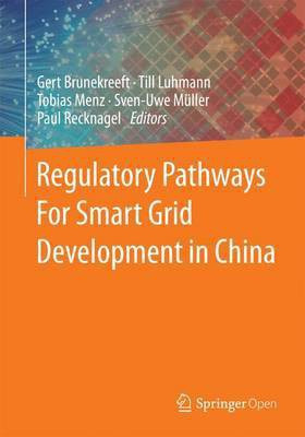 Regulatory Pathways For Smart Grid Development in China(English, Paperback, unknown)