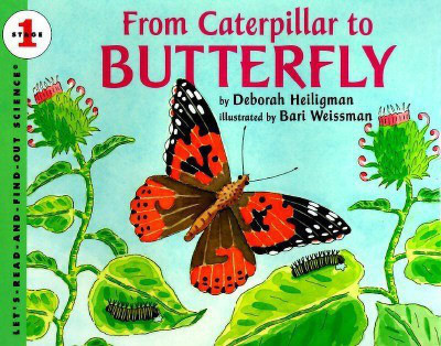 From Caterpillar to Butterfly(English, Hardcover, Heiligman Deborah)