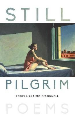 Still Pilgrim(English, Paperback, unknown)