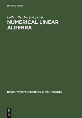Numerical Linear Algebra(English, Electronic book text, unknown)