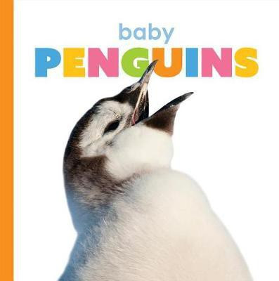 Baby Penguins(English, Paperback, Riggs Kate)