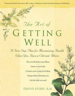 The Art of Getting Well(English, Hardcover, Spero David RN R N)