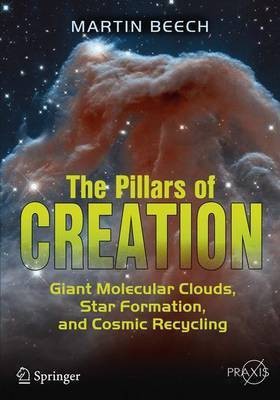 The Pillars of Creation(English, Paperback, Beech Martin)