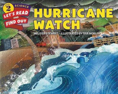 Hurricane Watch(English, Hardcover, unknown)