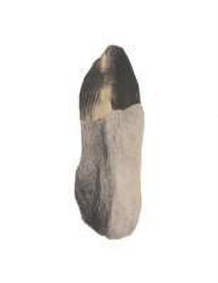 Strange Eggs(English, Hardcover, Oldenburg Claes)