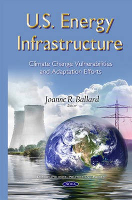 U.S. Energy Infrastructure(English, Hardcover, unknown)