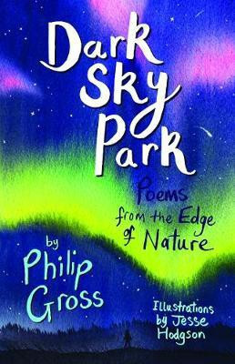 Dark Sky Park(English, Paperback, Gross Philip)