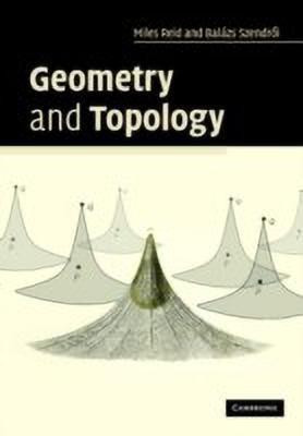 Geometry and Topology(English, Hardcover, Reid Miles)