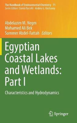Egyptian Coastal Lakes and Wetlands: Part I(English, Hardcover, unknown)